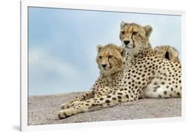 Female cheetah with five large cubs on kopje, Serengeti National Park, Tanzania, Africa-Adam Jones-Framed Photographic Print