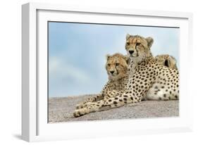 Female cheetah with five large cubs on kopje, Serengeti National Park, Tanzania, Africa-Adam Jones-Framed Photographic Print