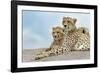 Female cheetah with five large cubs on kopje, Serengeti National Park, Tanzania, Africa-Adam Jones-Framed Photographic Print