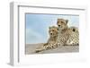 Female cheetah with five large cubs on kopje, Serengeti National Park, Tanzania, Africa-Adam Jones-Framed Photographic Print