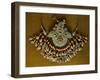 Female Chest Decoration in Silver-Gilt, Coral and Turquoise from Uzbekistan-null-Framed Giclee Print