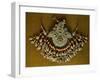 Female Chest Decoration in Silver-Gilt, Coral and Turquoise from Uzbekistan-null-Framed Giclee Print