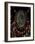 Female Chest Decoration in Silver-Gilt, Coral and Turquoise from Uzbekistan-null-Framed Giclee Print