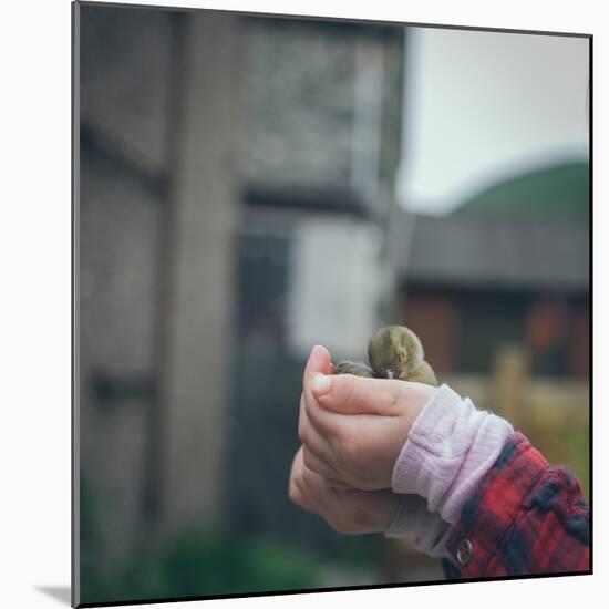 Female Child Outdoors-Clive Nolan-Mounted Photographic Print