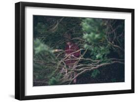Female Child Outdoors-Clive Nolan-Framed Photographic Print