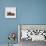 Female Crested Guinea Pig with Three Six-Week Babies, UK-Jane Burton-Mounted Photographic Print displayed on a wall