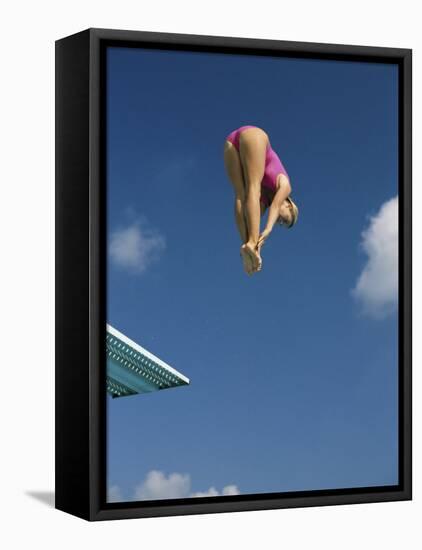 Female Diver in Pink Bathing Suit-null-Framed Stretched Canvas