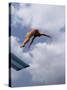Female Diver in Pink Bathing Suit-null-Stretched Canvas