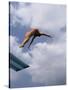 Female Diver in Pink Bathing Suit-null-Stretched Canvas