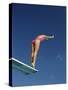 Female Diver in Pink Bathing Suit-null-Stretched Canvas