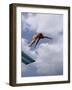 Female Diver in Pink Bathing Suit-null-Framed Photographic Print