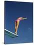 Female Diver in Pink Bathing Suit-null-Stretched Canvas