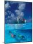 Female Divers Submerged Below Catamaran-Amos Nachoum-Mounted Photographic Print