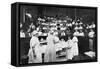 Female Doctors in Training-null-Framed Stretched Canvas