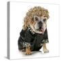 Female Dog - English Bulldog Wearing Blonde Wig and Black Leather Coat-Willee Cole-Stretched Canvas