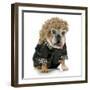 Female Dog - English Bulldog Wearing Blonde Wig and Black Leather Coat-Willee Cole-Framed Photographic Print