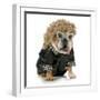 Female Dog - English Bulldog Wearing Blonde Wig and Black Leather Coat-Willee Cole-Framed Photographic Print