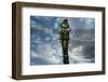 Female Emperor Dragonfly (Anax Imperator) Close-Up, on Twig Above Water with Clouds Reflected-Laurent Geslin-Framed Photographic Print