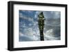 Female Emperor Dragonfly (Anax Imperator) Close-Up, on Twig Above Water with Clouds Reflected-Laurent Geslin-Framed Photographic Print