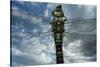 Female Emperor Dragonfly (Anax Imperator) Close-Up, on Twig Above Water with Clouds Reflected-Laurent Geslin-Stretched Canvas