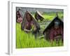 Female Farmers at Work in Rice Nursery, with Rain Protection, Annapurna Area, Pokhara, Nepal, Asia-Eitan Simanor-Framed Photographic Print