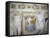Female Figure Holding Up Caldogno Family Crest-Giovanni Antonio Fasolo-Framed Stretched Canvas
