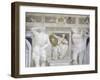 Female Figure Holding Up Muzani Family Crest-Giovanni Antonio Fasolo-Framed Giclee Print