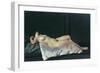 Female Figure Lying on Her Back, 1912-Dora Carrington-Framed Giclee Print