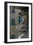 Black Frame