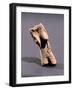 Female figurine-Werner Forman-Framed Giclee Print