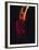 Female Flamenco Dancer, Cordoba, Spain-Merrill Images-Framed Premium Photographic Print