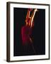 Female Flamenco Dancer, Cordoba, Spain-Merrill Images-Framed Premium Photographic Print