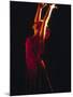 Female Flamenco Dancer, Cordoba, Spain-Merrill Images-Mounted Premium Photographic Print