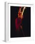 Female Flamenco Dancer, Cordoba, Spain-Merrill Images-Framed Photographic Print