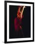 Female Flamenco Dancer, Cordoba, Spain-Merrill Images-Framed Photographic Print