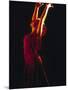 Female Flamenco Dancer, Cordoba, Spain-Merrill Images-Mounted Photographic Print