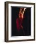 Female Flamenco Dancer, Cordoba, Spain-Merrill Images-Framed Photographic Print