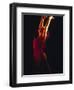 Female Flamenco Dancer, Cordoba, Spain-Merrill Images-Framed Photographic Print