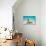 Female Galapagos sea lion with pup resting on beach, Ecuador-Tui De Roy-Photographic Print displayed on a wall