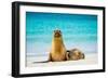 Female Galapagos sea lion with pup resting on beach, Ecuador-Tui De Roy-Framed Photographic Print