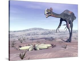 Female Gigantoraptor Dinosaur Walking to its Nest Full of Eggs-null-Stretched Canvas