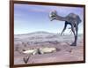 Female Gigantoraptor Dinosaur Walking to its Nest Full of Eggs-null-Framed Art Print