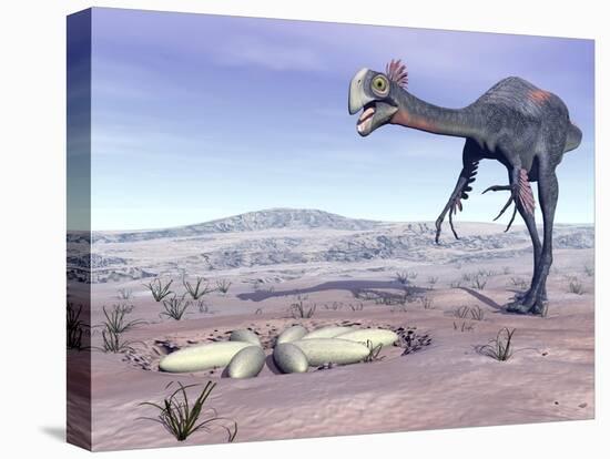 Female Gigantoraptor Dinosaur Walking to its Nest Full of Eggs-null-Stretched Canvas