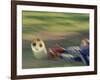 Female Goalie Attempting to Stop a Soccer Ball-null-Framed Photographic Print