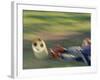 Female Goalie Attempting to Stop a Soccer Ball-null-Framed Photographic Print