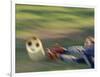 Female Goalie Attempting to Stop a Soccer Ball-null-Framed Photographic Print