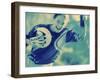 Female Goalie Holding a Soccer Ball-null-Framed Premium Photographic Print