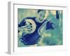 Female Goalie Holding a Soccer Ball-null-Framed Premium Photographic Print