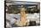 Female Golden Retriever Sittiing on Snow-Covered Driftwood at Beach, Madison, Connecticut, USA-Lynn M^ Stone-Framed Stretched Canvas