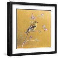 Female Goldfinch on Gold-Danhui Nai-Framed Art Print